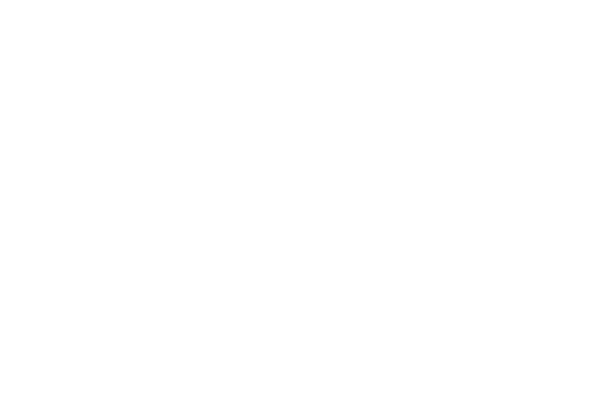 DJ Logo Nathan White